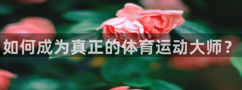 米兰体育在线