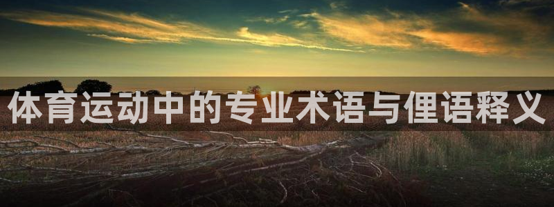 米兰体育官方下载入口